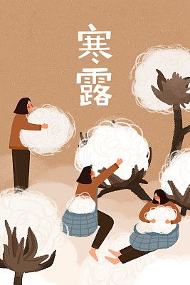 【节气养生 | 寒露】——寒露时节菊正香，进补排毒两不忘