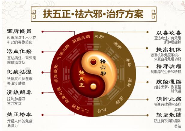 扶正祛邪 抗癌消瘤体系