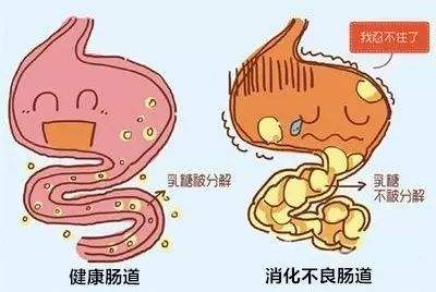 胃胀消化不良怎么办