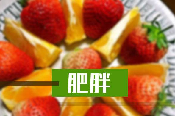 肥胖症的中医辩证分型有哪些