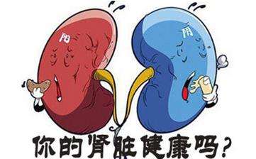 肾虚都有哪些症状 怎么调理好