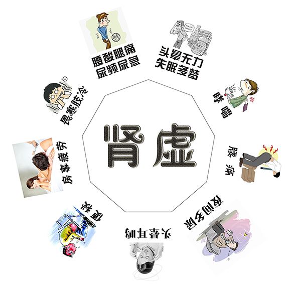 中医怎么调理肾虚气血不足