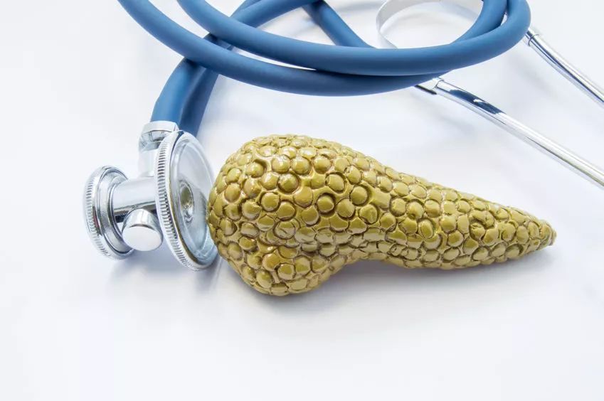 胰腺癌中医怎样治疗?