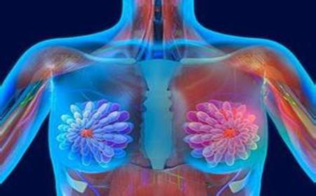 乳腺增生不同时期的症状表现有哪些不同？