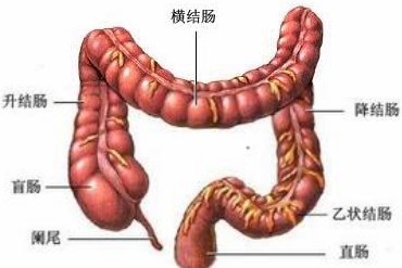 直肠炎病都有哪些症状表现?
